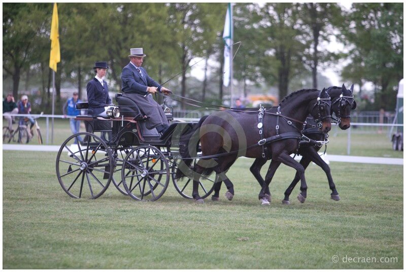 Gerard Leijten trainiert die belgischen Ponyfahrer